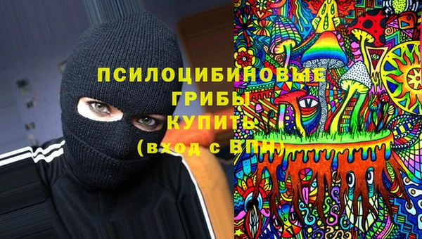 ГАЛЛЮЦИНОГЕННЫЕ ГРИБЫ Вязники