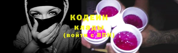 хмурый Няндома