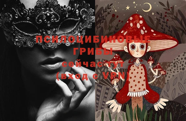 spice Новозыбков
