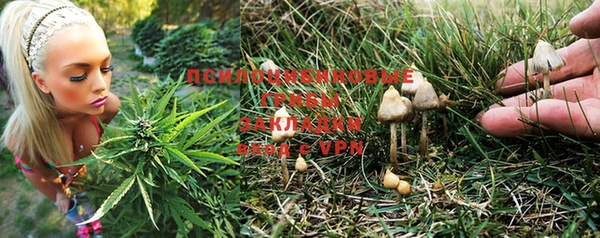 кокс Болохово