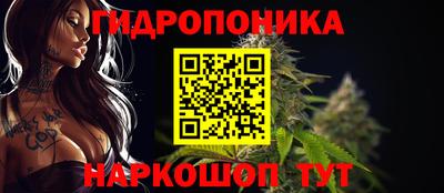 ПСИЛОЦИБИНОВЫЕ ГРИБЫ Берёзовский