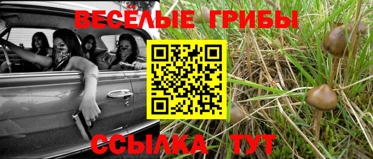 Псилоцибиновые грибы Cubensis  купить  цена  Галлюциногенные грибы мухоморы  Ейск 