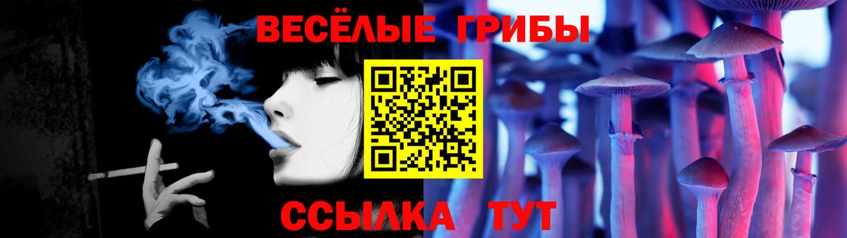Галлюциногенные грибы Psilocybine cubensis  Вход с VPN  Ейск 